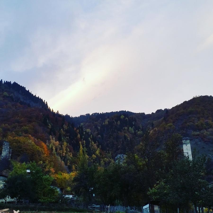 Lagami House Hotel Mestia Bagian luar foto